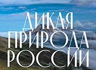 Дикая природа России