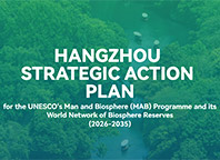 Ханчжоуский стратегический план действий