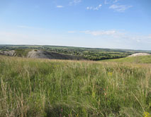 Ковыльная степь в ур. Петровские Борки