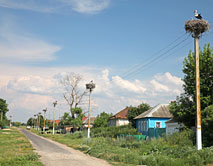 В городке аистов прибавление