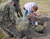 Создание сигнального поля в норе