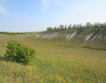 Лог Загородний у с. Хмелевое