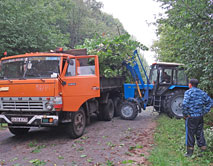 Погрузка порубочных остатков