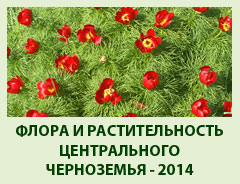 Научная конференция  «Флора и растительность Центрального Черноземья - 2014»