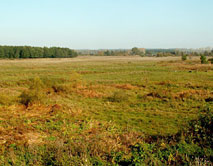 Вид из биостанции на пойму р. Свапа. д. Старое Першино, 28.09.2006, фото А. Власова