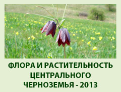 Подготовлено Информационное письмо № 2 о проведении конференции «Флора и растительность Центрального Черноземья - 2013»