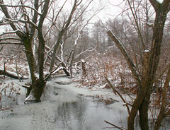 Белый Колодезь: малая река сохраняет большое биоразнообразие