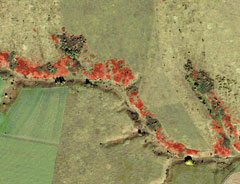 О планах лаборатории лесоведения заповедника по ГИС-картографированию растительности в 2013 году