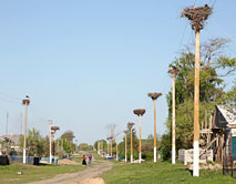 Октябрьское - городок аистов