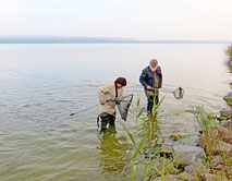 Зоологические исследования на Курском водохранилище