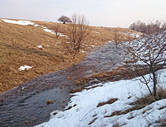 Вешние воды Стрелецкой степи