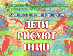 Выставка «Дети рисуют птиц»