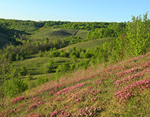 Букреевы Бармы