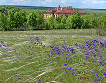 Букреевы Бармы