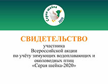 «Серая шейка-2020»