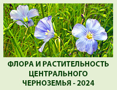 Межрегиональная научная конференция «Флора и растительность  Центрального Черноземья - 2024»