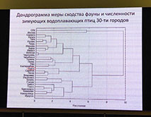 Всероссийская конференция «Актуальные проблемы охраны птиц России»