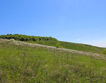 Ковыль перистый. Букреевы Бармы