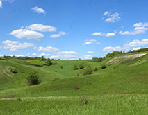 Баркаловка. Меловые обнажения