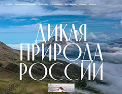 На сайте «Дикая природа России» открылась страница, посвященная Центрально-Черноземному заповеднику