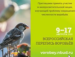 Всероссийская перепись воробьёв - летний этап 2025 года