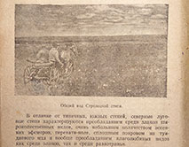 «Стрелецкая степь»