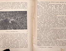 «Стрелецкая степь»