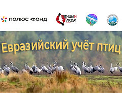 Евразийский учет птиц - 2025