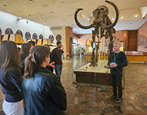 На экскурсии в Палеонтологическом музее