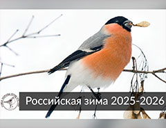 Стартовал проект СОПР «Российская зима 2025-2026»