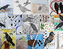 Работы победители конкурса «Грач – птица 2025 года»