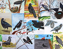 Работы победители конкурса «Грач – птица 2025 года»