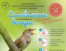 Акция по учету соловьёв «Соловьиные вечера»