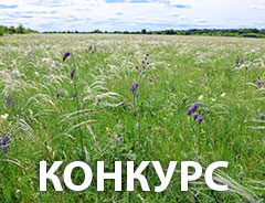 Конкурс стихотворений &laquo;Богатство степи многоликой&raquo;