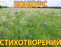 Итоги конкурса стихотворений &laquo;Богатство степи многоликой&raquo;