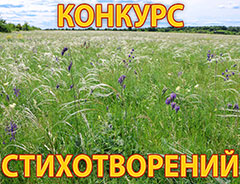 Итоги конкурса стихотворений &laquo;Богатство степи многоликой&raquo;