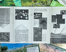Первому буклету Центрально-Черноземного заповедника - 50 лет