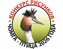 Конкурс детского рисунка &laquo;Чомга - птица 2026 года&raquo;
