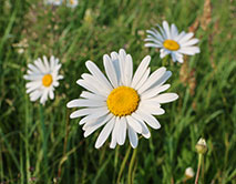 С Днём заповедников и национальных парков России