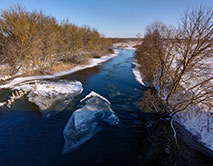Серая Шейка - 2026 зимующие водоплавающие заповедника и его окрестностей