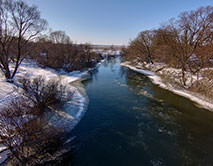Серая Шейка - 2026 зимующие водоплавающие заповедника и его окрестностей