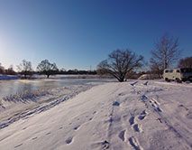 Серая Шейка - 2026 зимующие водоплавающие заповедника и его окрестностей