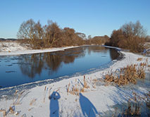 Серая Шейка - 2026 зимующие водоплавающие заповедника и его окрестностей