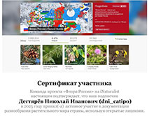 Сертификат участника - Дегтярёв Н.И.