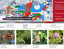 Вручены сертификаты наиболее активным участникам проекта &laquo;Флора России&raquo; на платформе iNaturalist