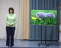 МБДОУ &laquo;Детский сад комбинированного вида № 71&raquo; г. Курска