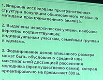 На XII Териологическом съезде