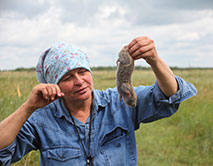 О.П. Власова и обыкновенный слепыш
