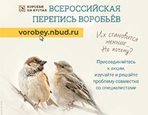 Всероссийская перепись воробьёв &laquo;Воробьи на кустах&raquo;