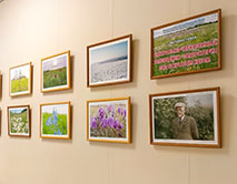 Фотовыставка в Асеевке